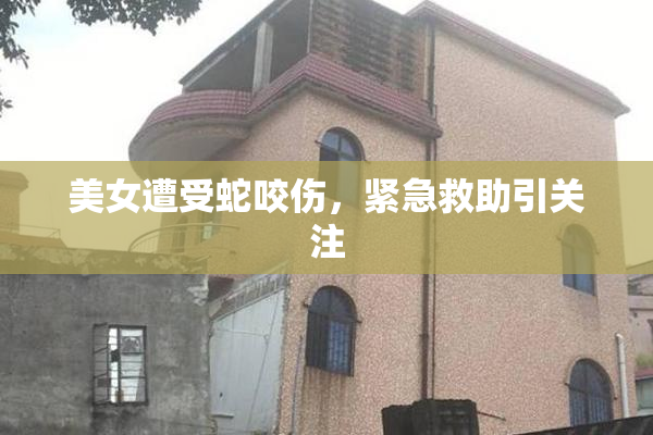 美女遭受蛇咬伤，紧急救助引关注
