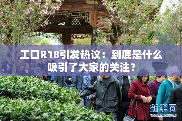 工口R18引发热议：到底是什么吸引了大家的关注？