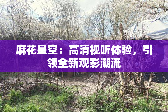 麻花星空：高清视听体验，引领全新观影潮流