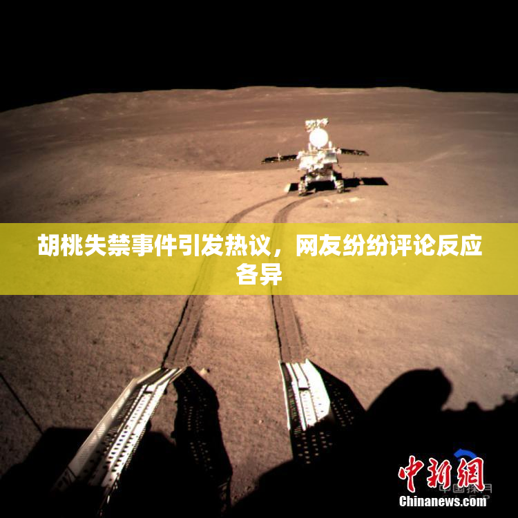 胡桃失禁事件引发热议，网友纷纷评论反应各异