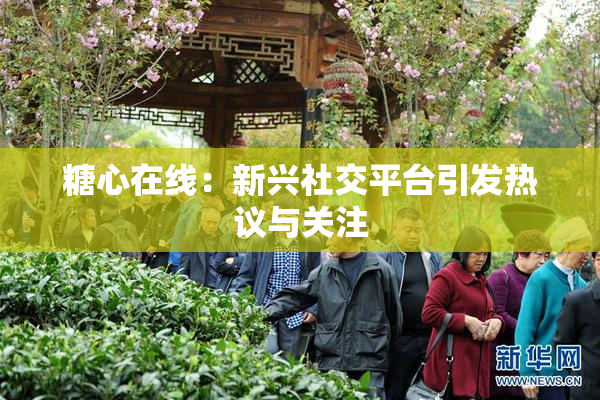糖心在线：新兴社交平台引发热议与关注