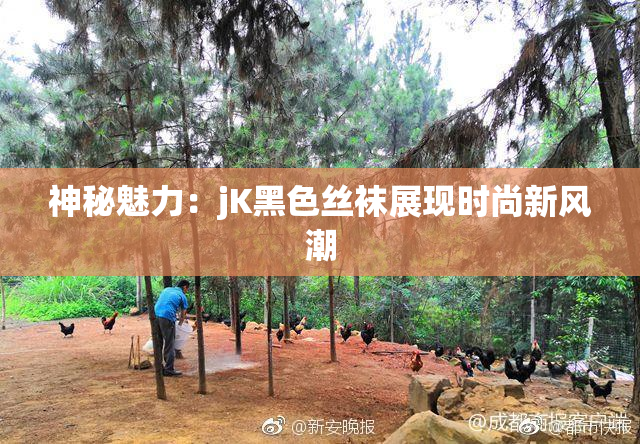 神秘魅力：jK黑色丝袜展现时尚新风潮