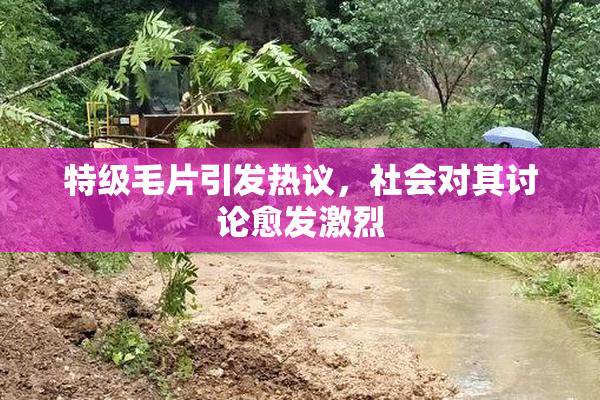 特级毛片引发热议，社会对其讨论愈发激烈