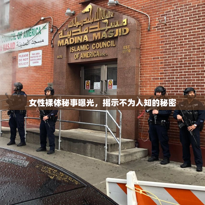 女性裸体秘事曝光，揭示不为人知的秘密
