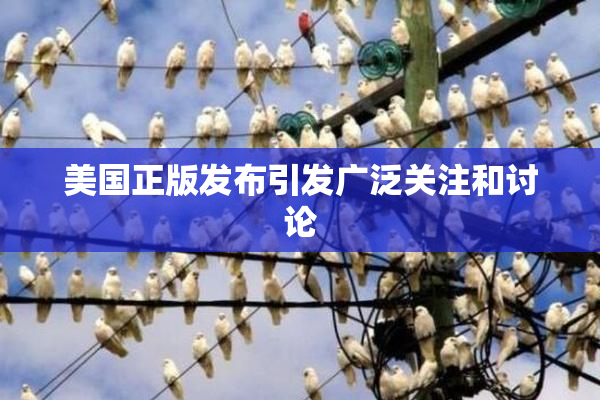 美国正版发布引发广泛关注和讨论