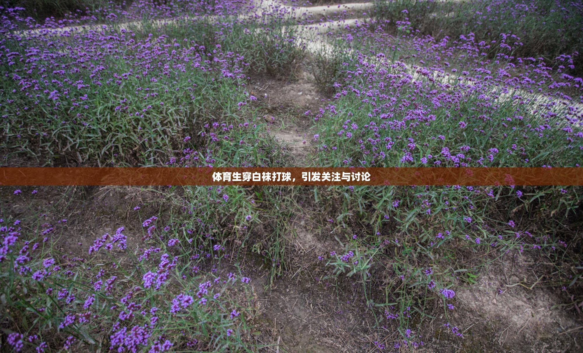 体育生穿白袜打球，引发关注与讨论