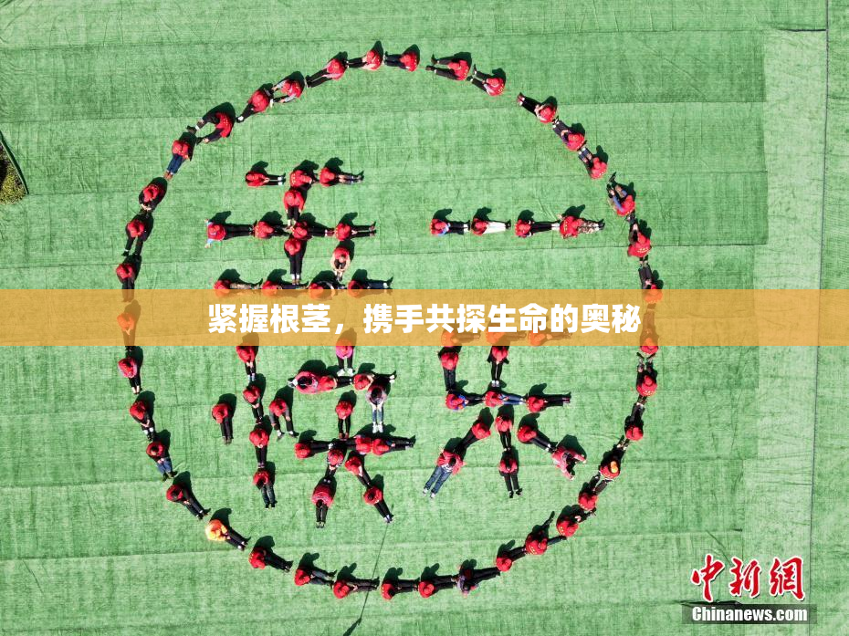 紧握根茎，携手共探生命的奥秘