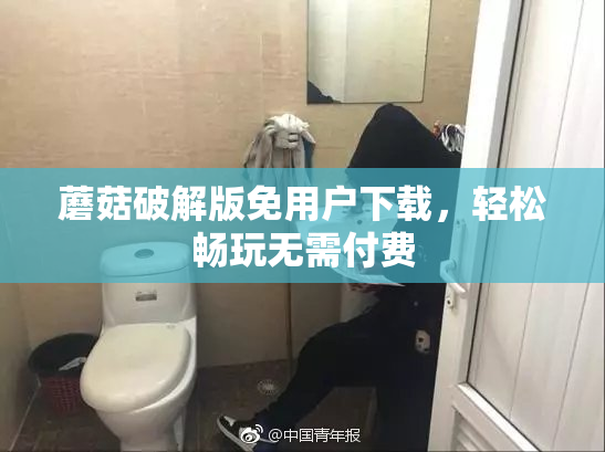 蘑菇破解版免用户下载，轻松畅玩无需付费