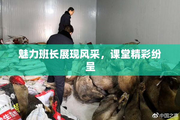 魅力班长展现风采，课堂精彩纷呈