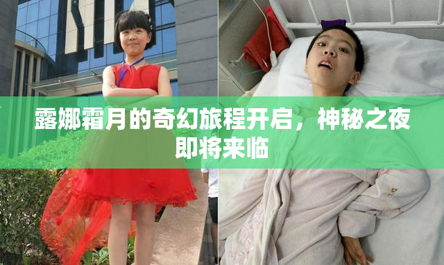 露娜霜月的奇幻旅程开启，神秘之夜即将来临