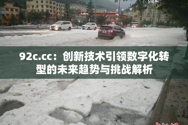 92c.cc：创新技术引领数字化转型的未来趋势与挑战解析