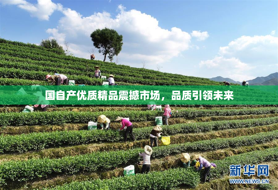 国自产优质精品震撼市场，品质引领未来