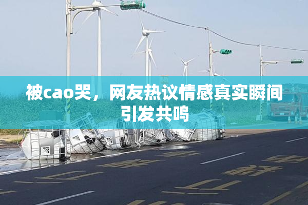 被cao哭，网友热议情感真实瞬间引发共鸣