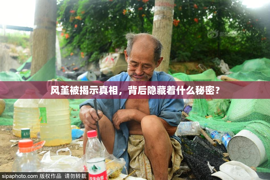 风堇被揭示真相，背后隐藏着什么秘密？