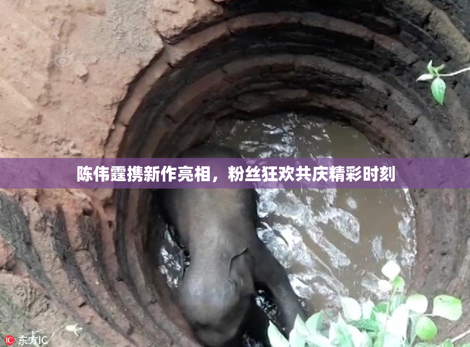 陈伟霆携新作亮相，粉丝狂欢共庆精彩时刻