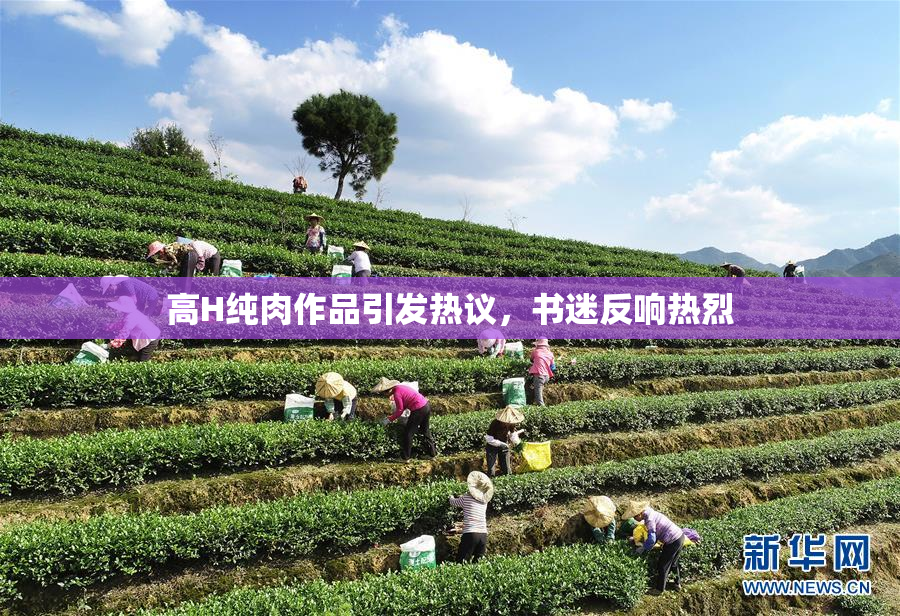 高H纯肉作品引发热议，书迷反响热烈