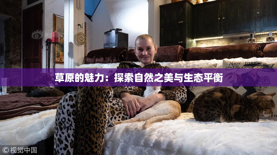 草原的魅力：探索自然之美与生态平衡