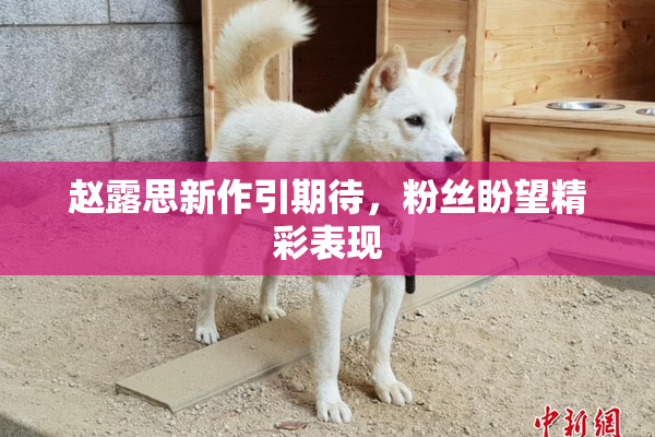 赵露思新作引期待，粉丝盼望精彩表现