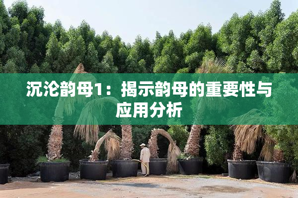 沉沦韵母1：揭示韵母的重要性与应用分析