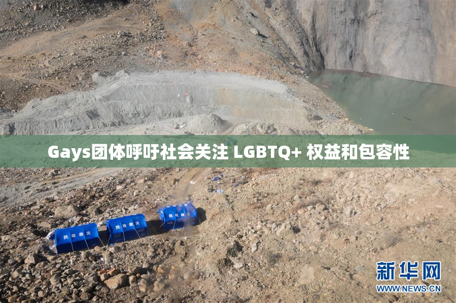 Gays团体呼吁社会关注 LGBTQ+ 权益和包容性