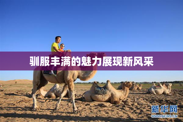 驯服丰满的魅力展现新风采