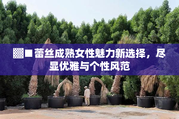 ▓■蕾丝成熟女性魅力新选择，尽显优雅与个性风范