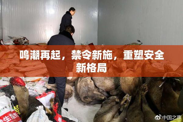 鸣潮再起，禁令新施，重塑安全新格局