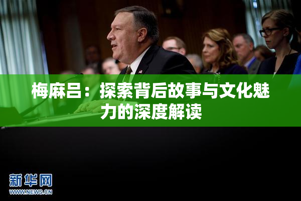 梅麻吕：探索背后故事与文化魅力的深度解读