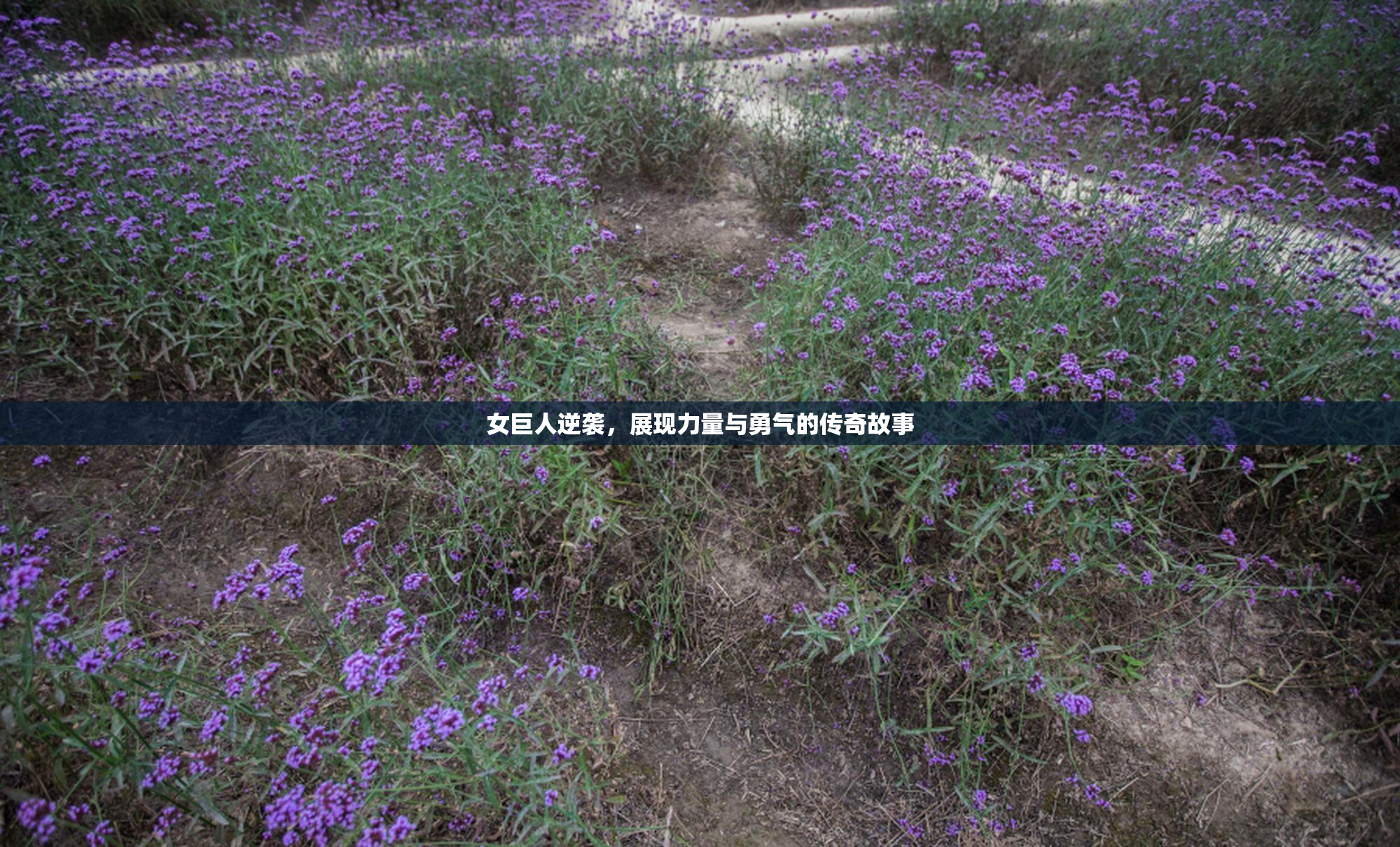 女巨人逆袭，展现力量与勇气的传奇故事