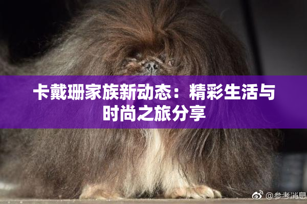 卡戴珊家族新动态：精彩生活与时尚之旅分享