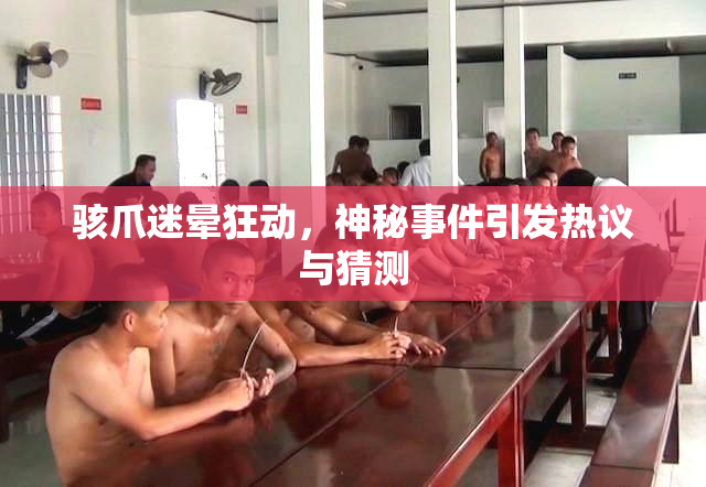 骇爪迷晕狂动，神秘事件引发热议与猜测