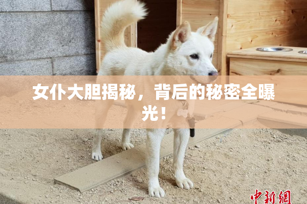 女仆大胆揭秘，背后的秘密全曝光！
