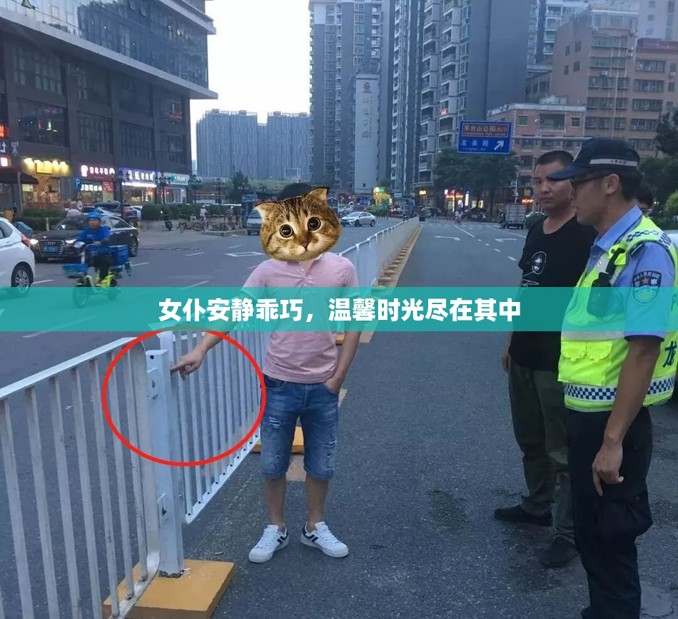 女仆安静乖巧，温馨时光尽在其中