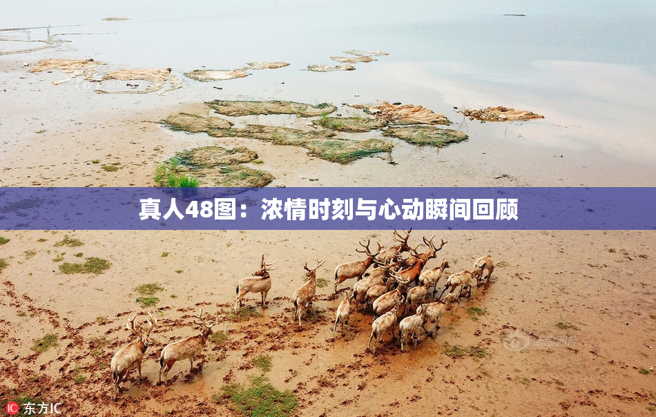 真人48图：浓情时刻与心动瞬间回顾