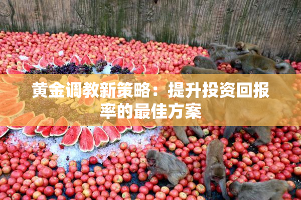 黄金调教新策略：提升投资回报率的最佳方案