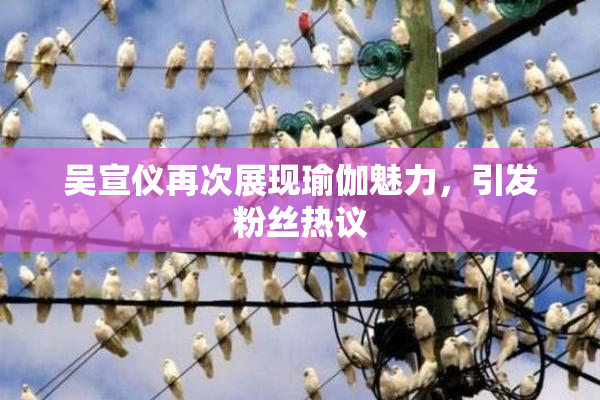 吴宣仪再次展现瑜伽魅力，引发粉丝热议