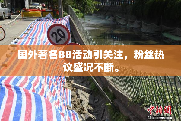国外著名BB活动引关注，粉丝热议盛况不断。