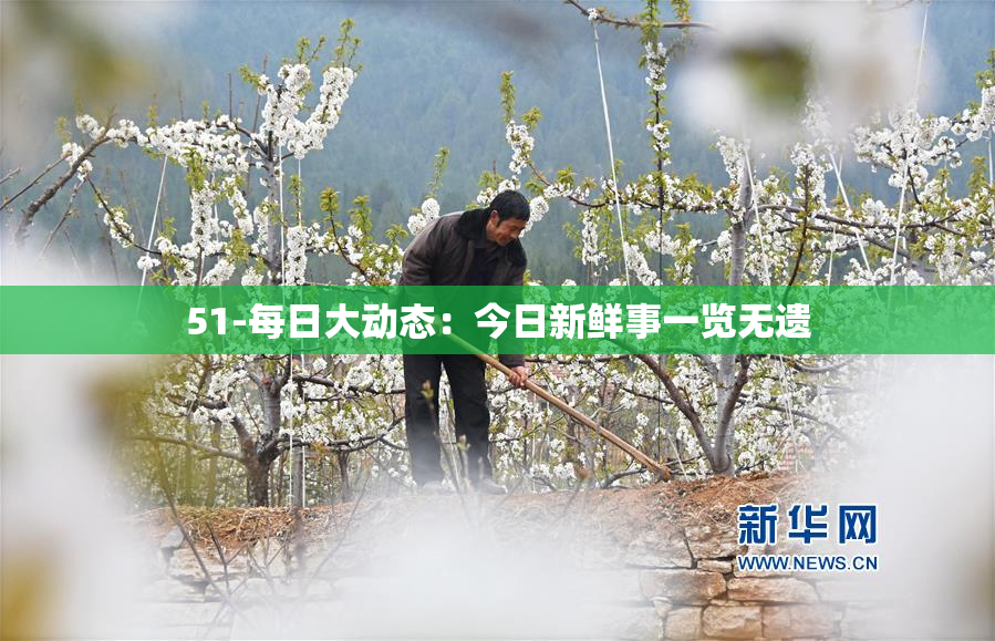 51-每日大动态：今日新鲜事一览无遗