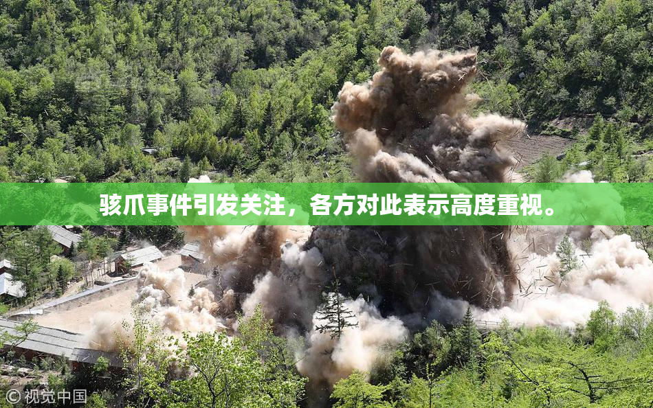 骇爪事件引发关注，各方对此表示高度重视。