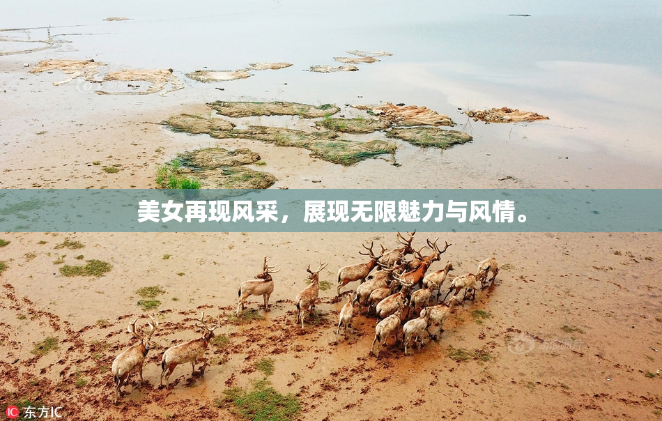 美女再现风采，展现无限魅力与风情。