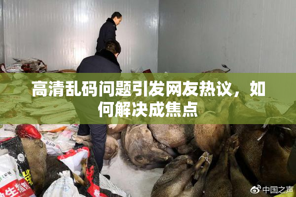 高清乱码问题引发网友热议，如何解决成焦点