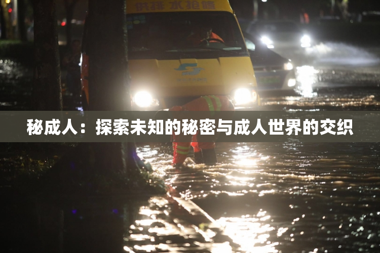 秘成人：探索未知的秘密与成人世界的交织