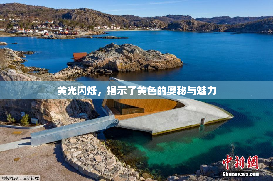 黄光闪烁，揭示了黄色的奥秘与魅力
