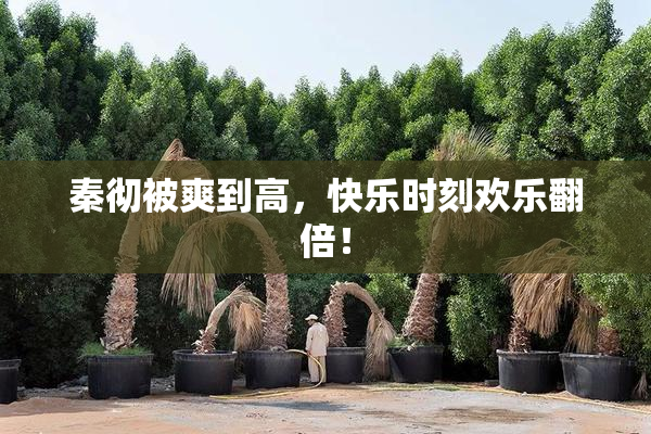 秦彻被爽到高，快乐时刻欢乐翻倍！