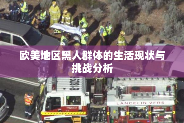 欧美地区黑人群体的生活现状与挑战分析