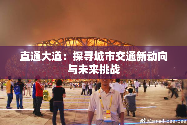 直通大道：探寻城市交通新动向与未来挑战
