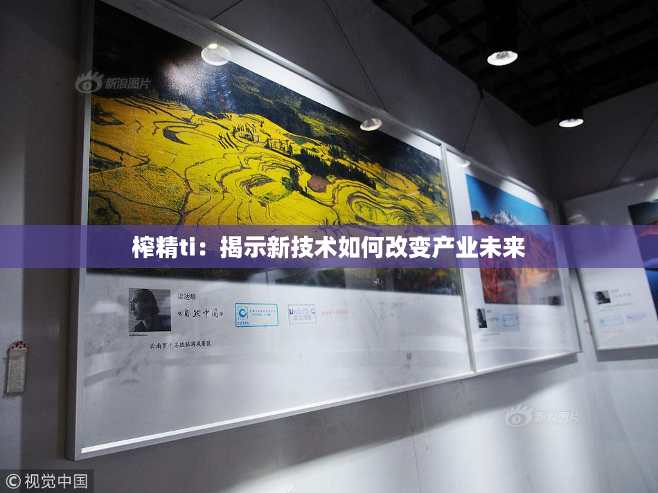榨精ti：揭示新技术如何改变产业未来