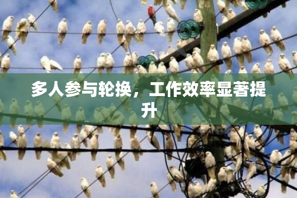 多人参与轮换，工作效率显著提升