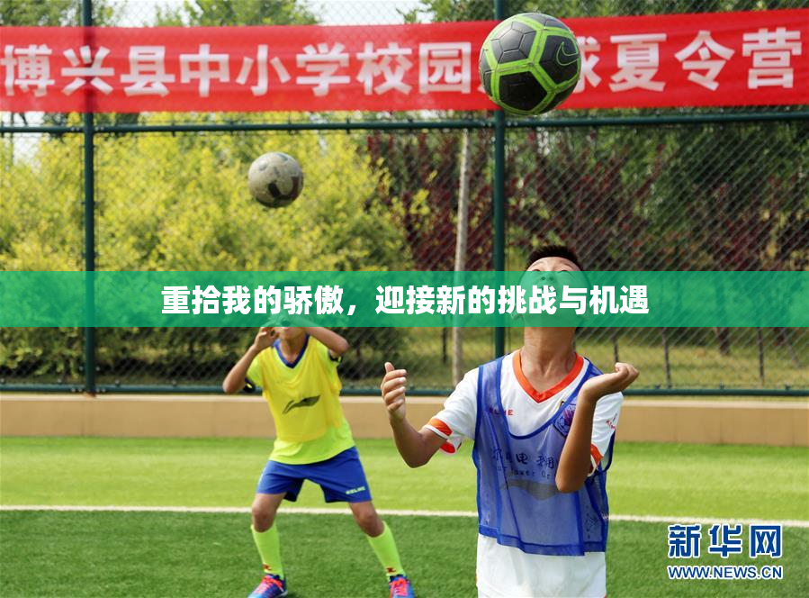 重拾我的骄傲，迎接新的挑战与机遇