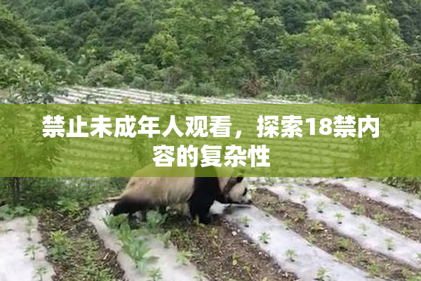 禁止未成年人观看，探索18禁内容的复杂性